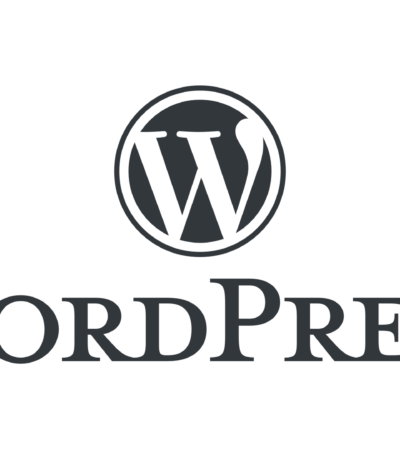 WordPress-logotype-alternative[1]